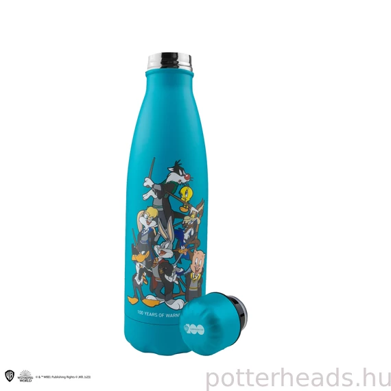 Looney Tunes x Hogwarts Rozsdamentes Acél Kulacs – Warner Bros 100. évfordulós kiadás