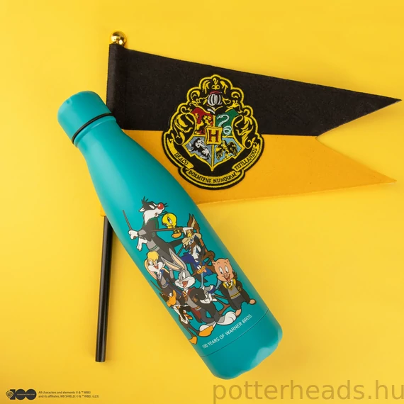 Looney Tunes x Hogwarts Rozsdamentes Acél Kulacs – Warner Bros 100. évfordulós kiadás